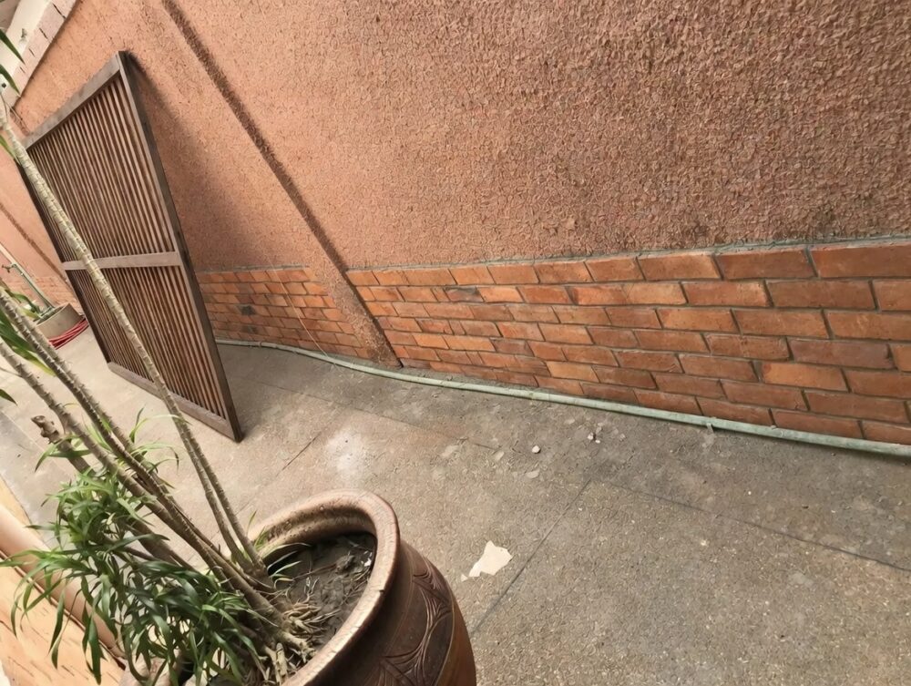 Premium Quality Brick Slices